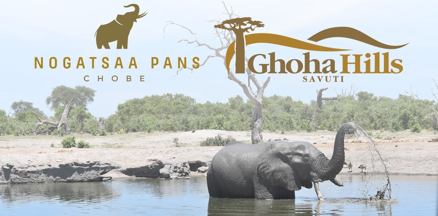Ghoha Hills Savuti Lodge