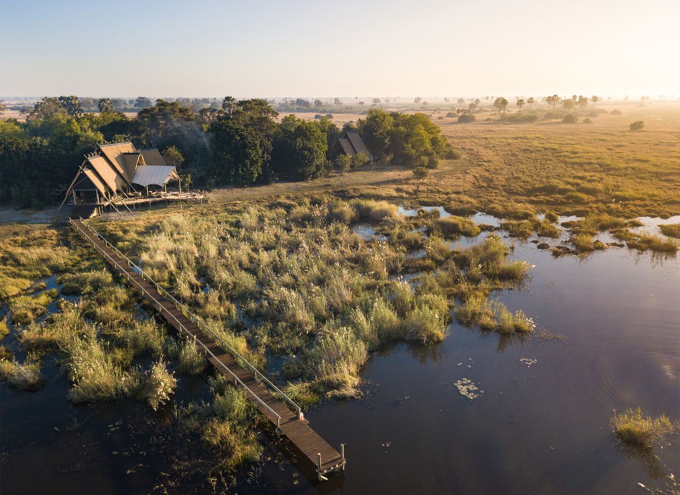 Selinda Camp