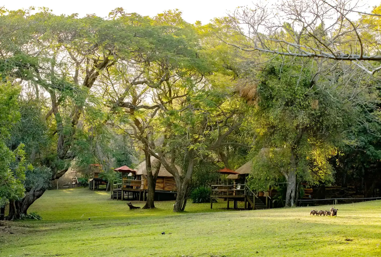 Kubu Lodge