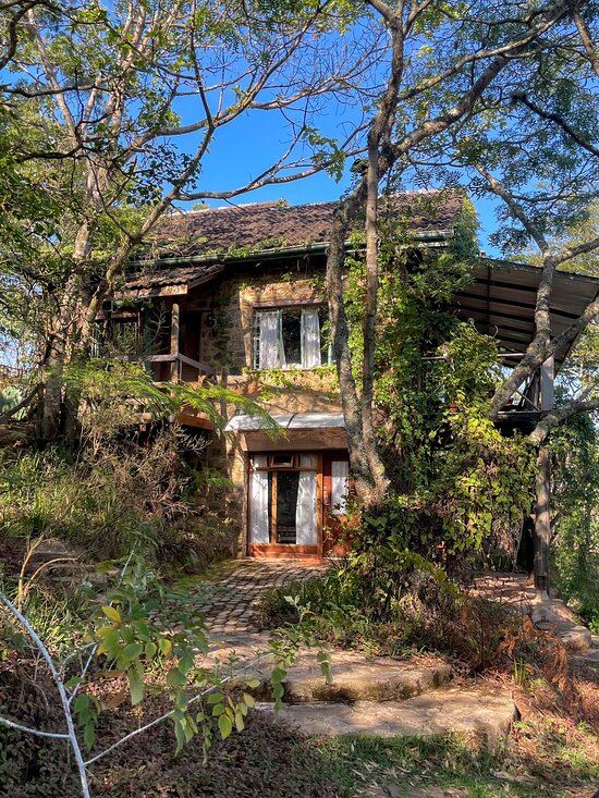 Frog & Fern Cottages