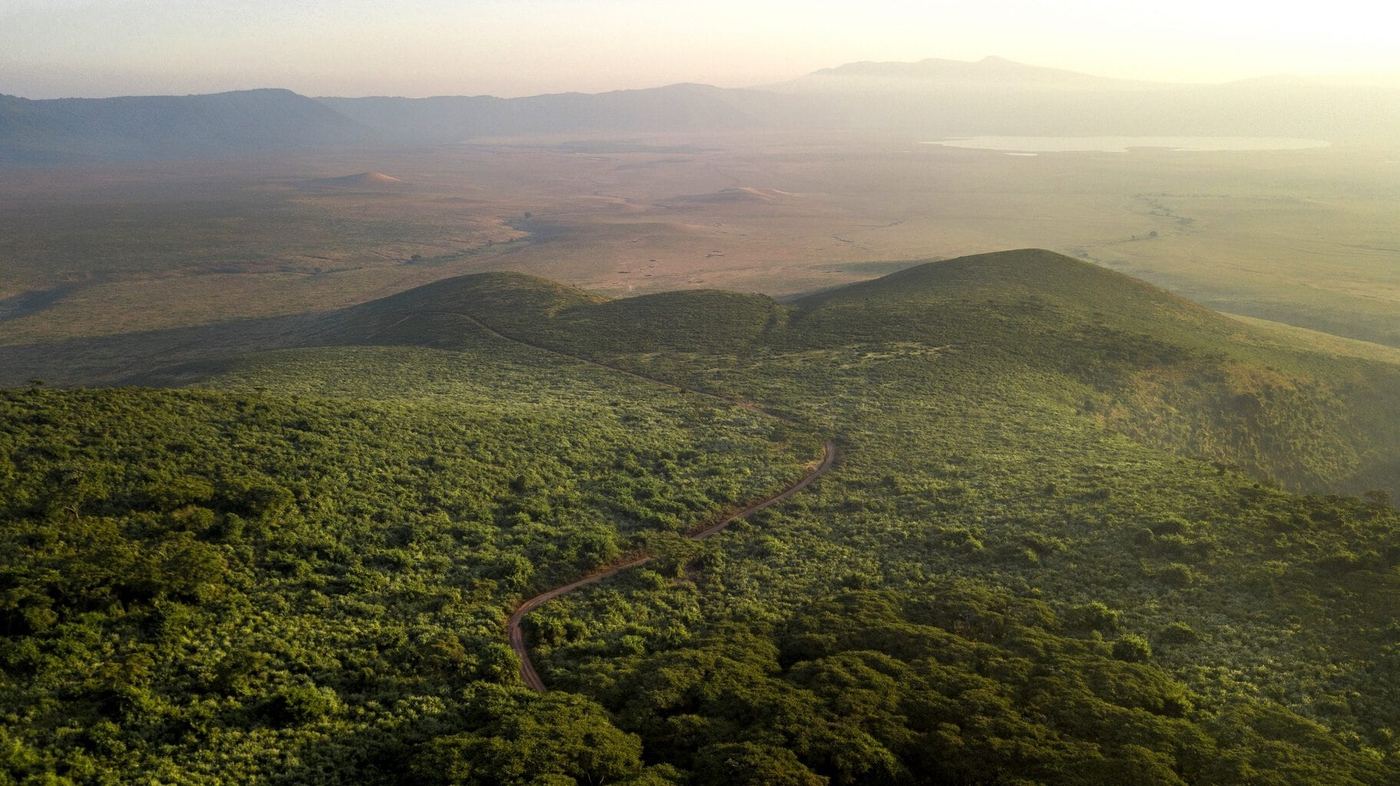 Lemala Ngorongoro