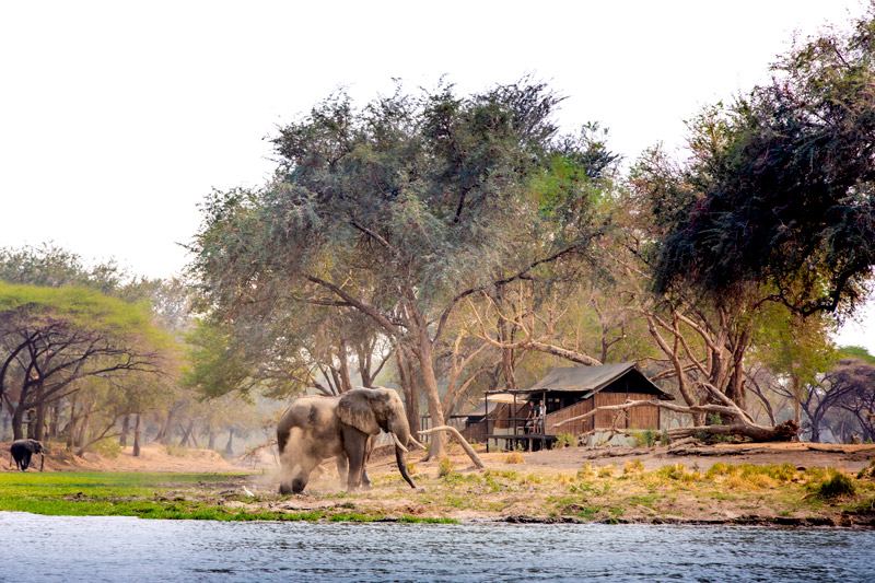 Old Mondoro Bush Camp