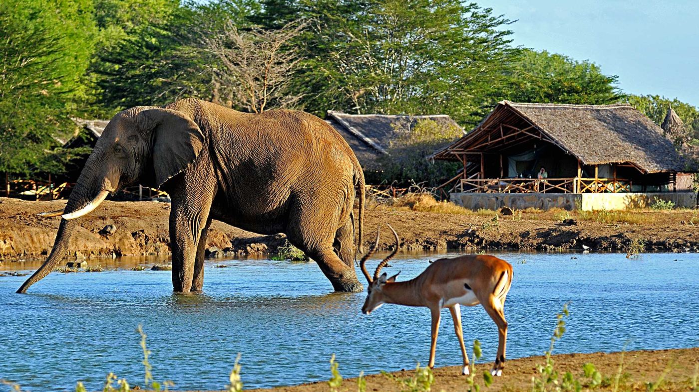 Satao Camp