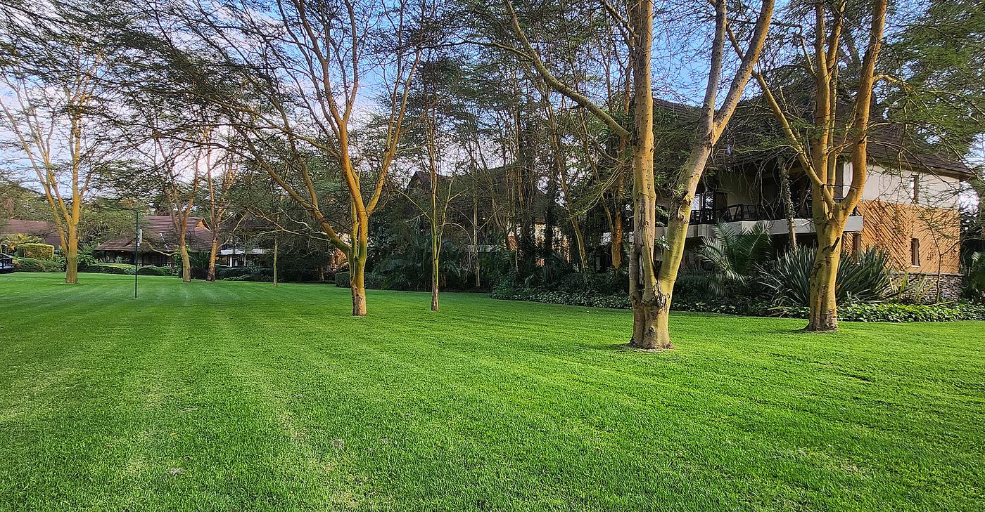 Sawela Lodges